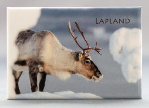 Magnet Reindeer 14